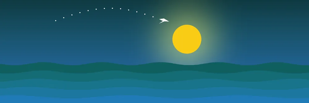 Illustrated Cancun beach and sea at sunset